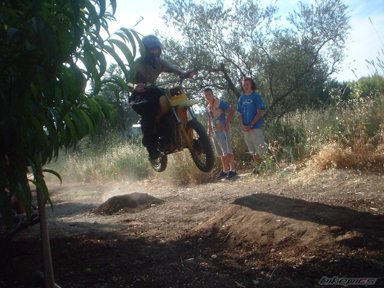 Photo 205691