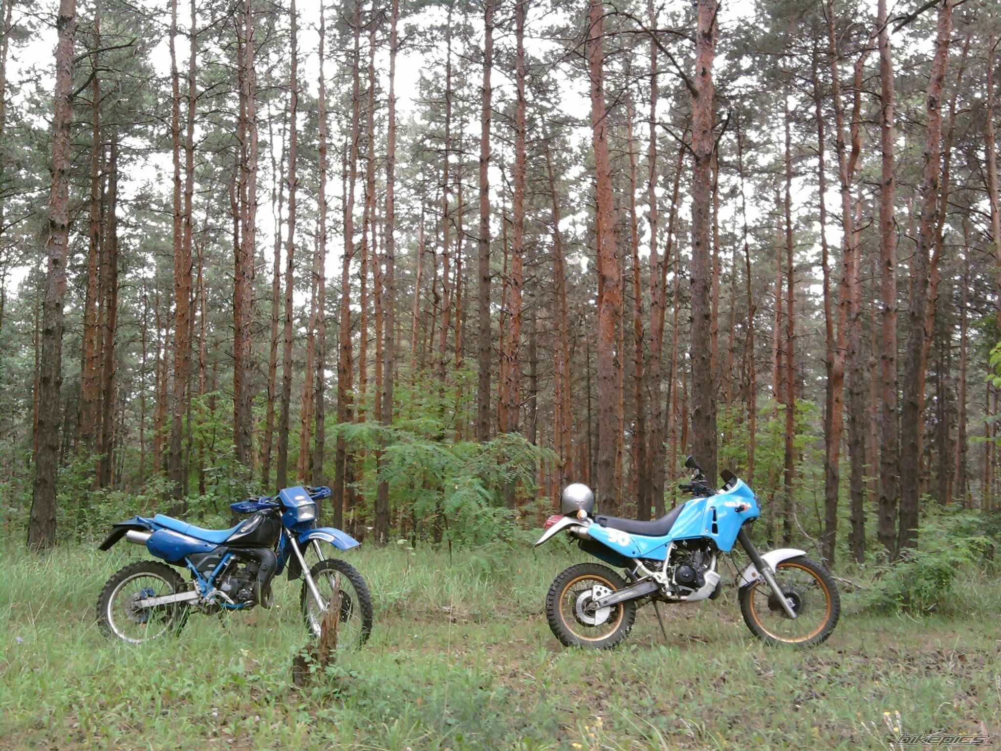 Photo 2056915