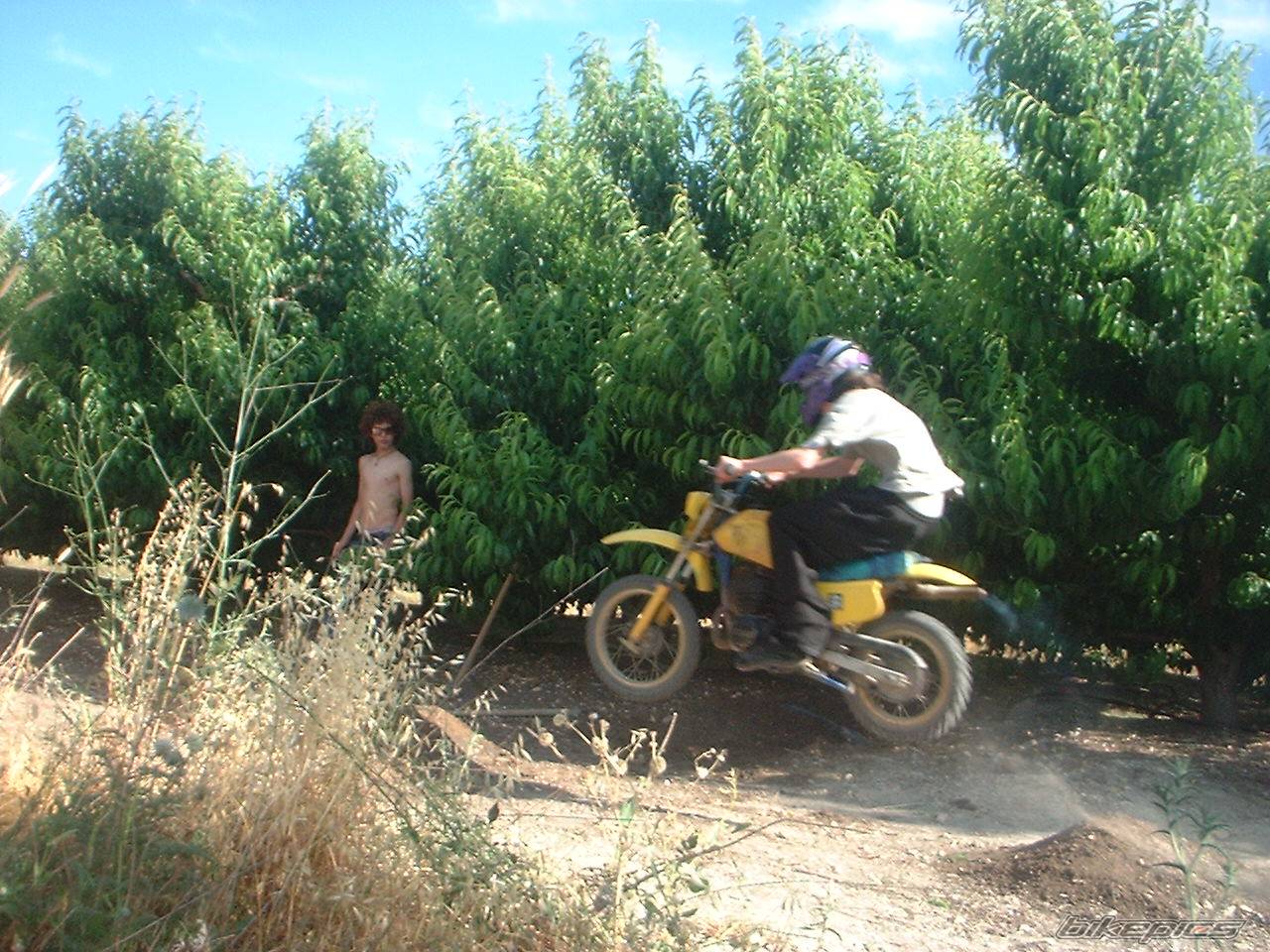 Photo 205693