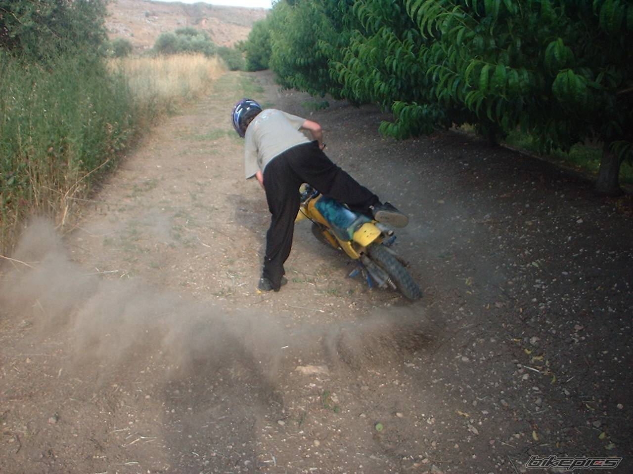 Photo 205694