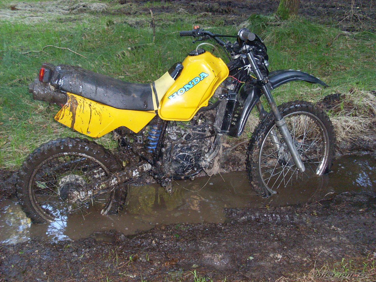Photo 2057063