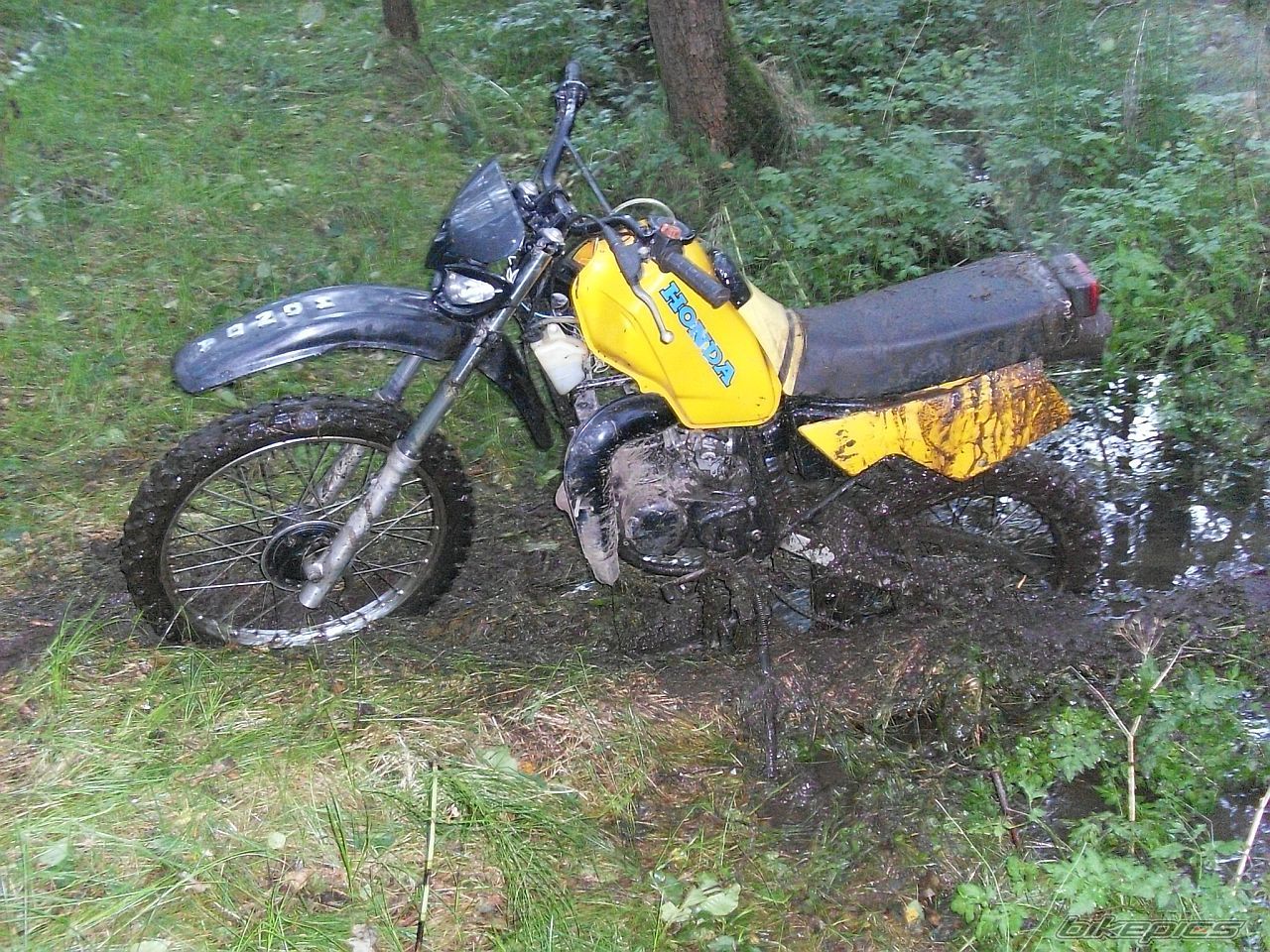 Photo 2057065