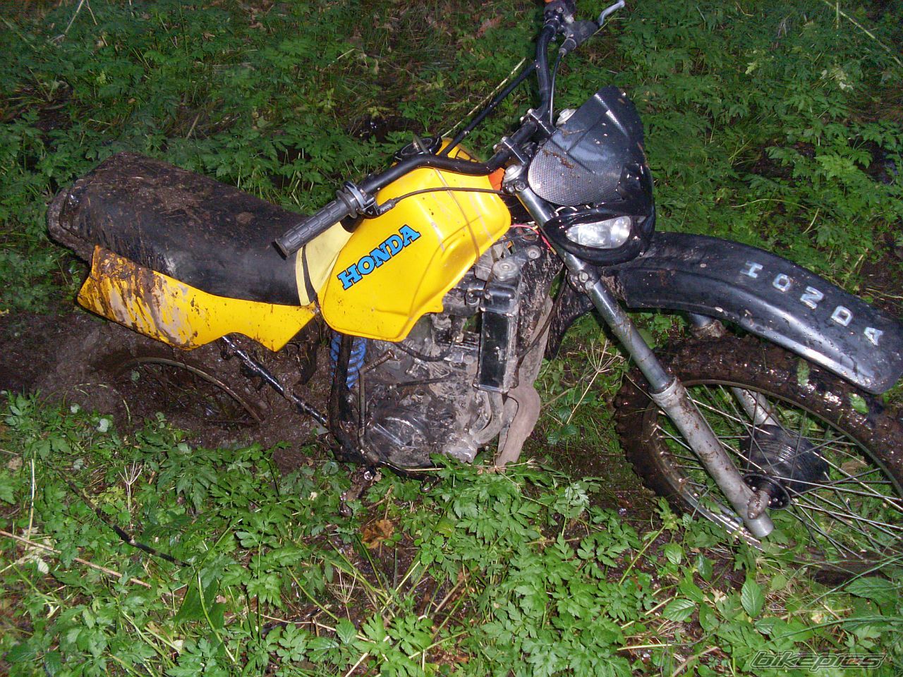 Photo 2057066