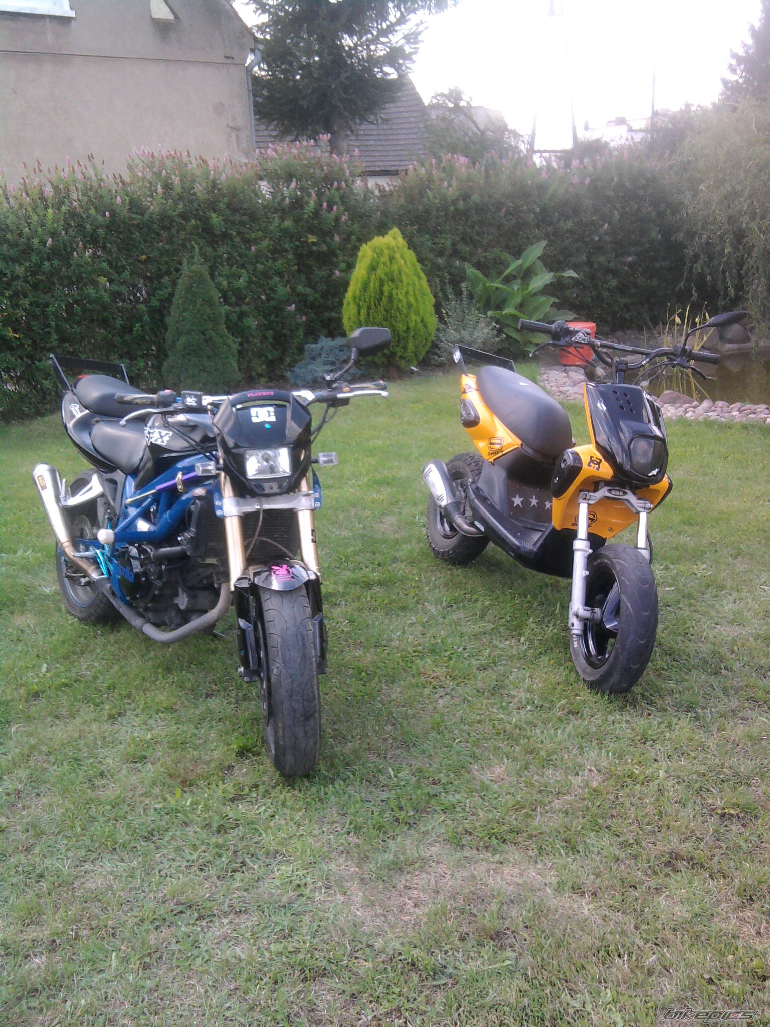 Photo 2057078