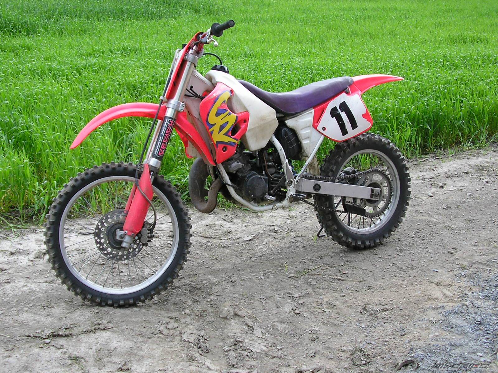 Photo 205728