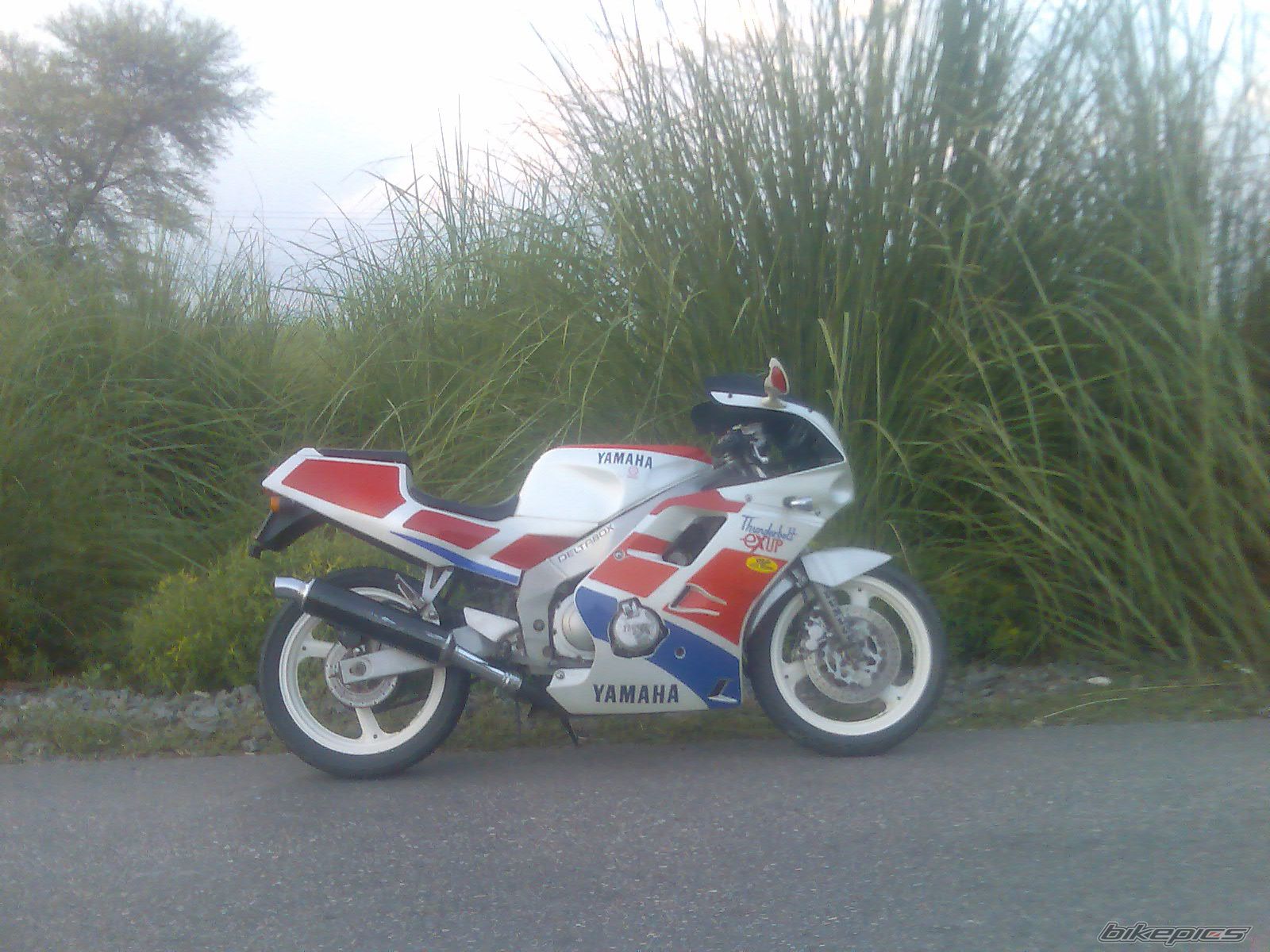 Photo 2057341