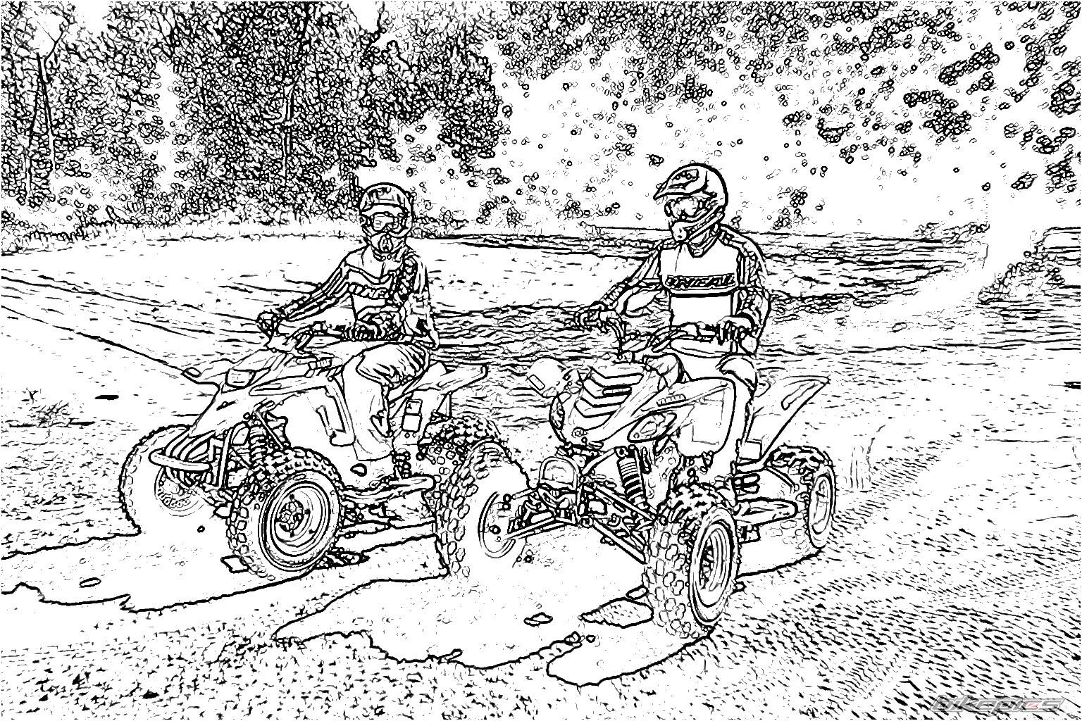Bike Photo 205736