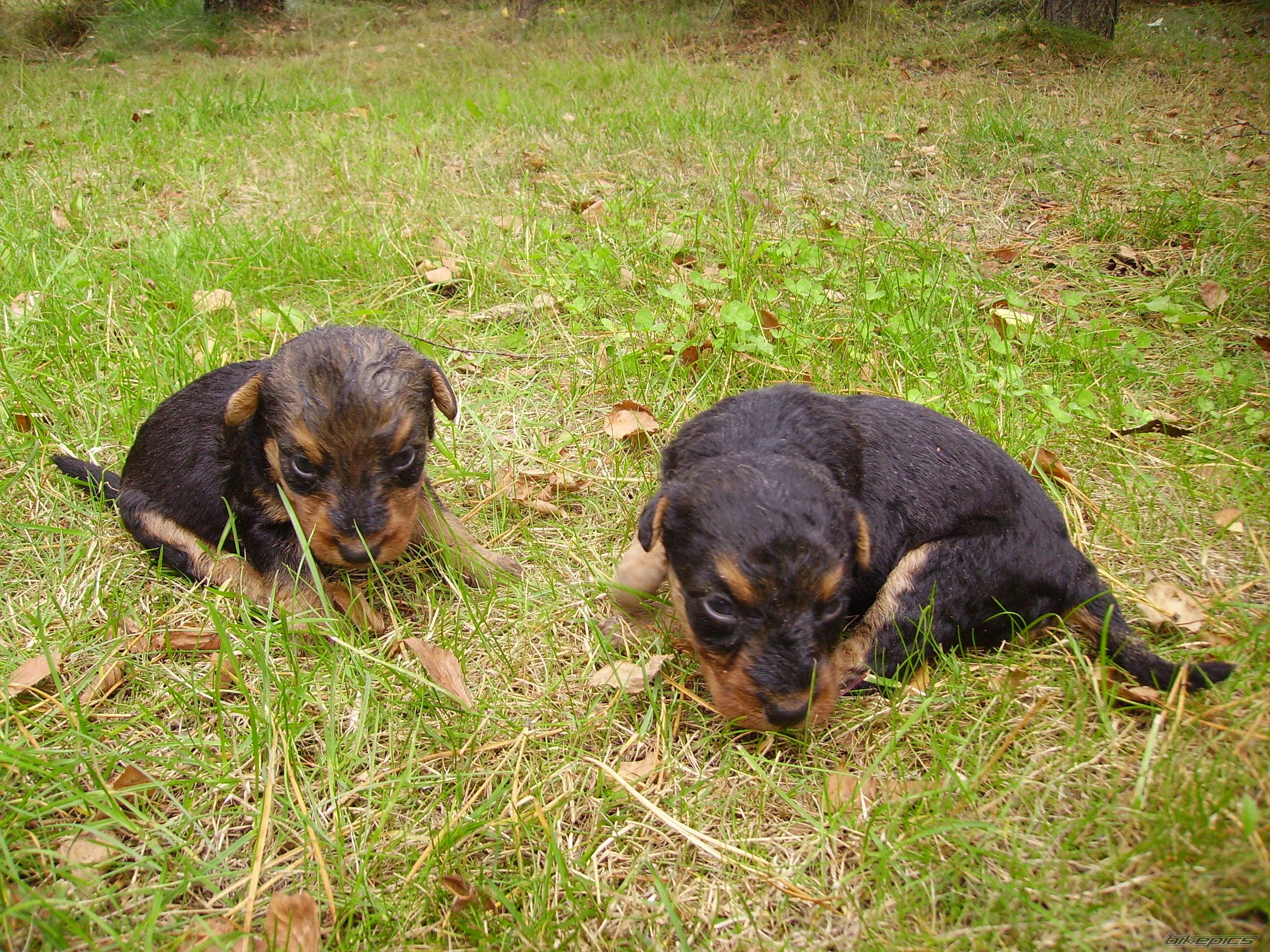 Photo 2057442