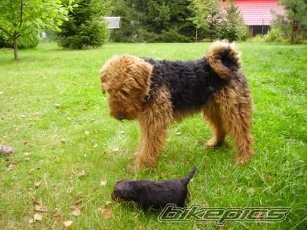 Photo 2057443