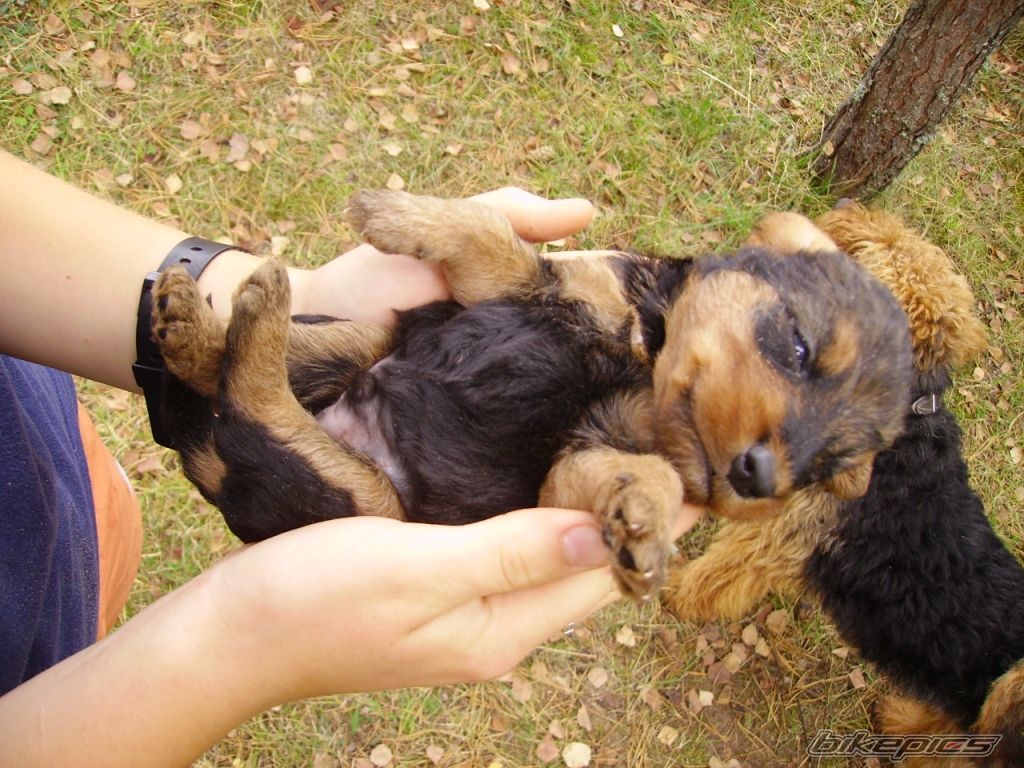 Photo 2057444
