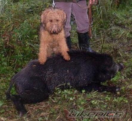 Photo 2057448