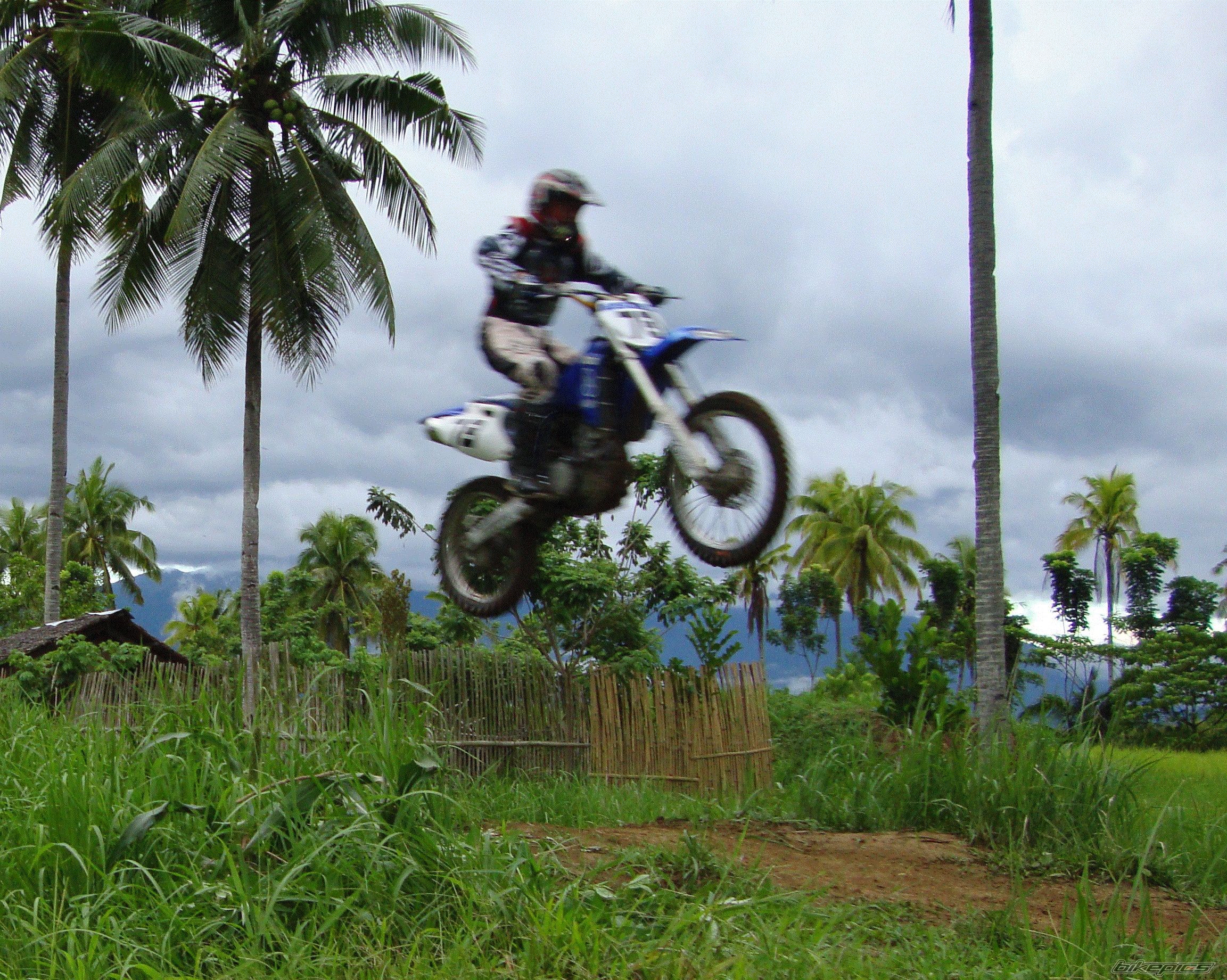 Photo 2057695
