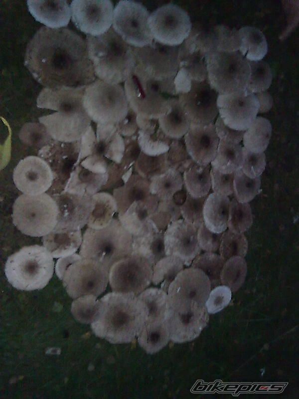 Photo 2057857