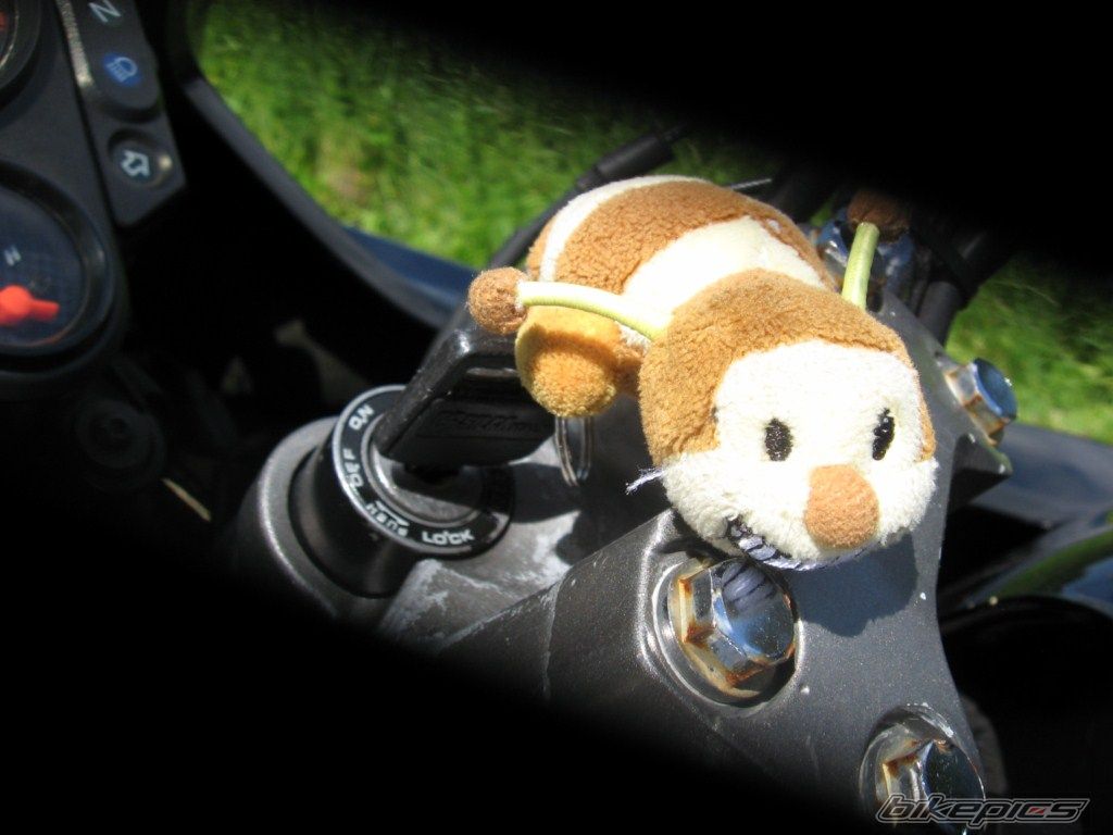 Photo 2057884