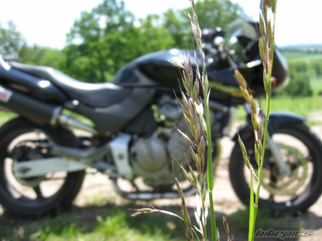 Photo 2057895