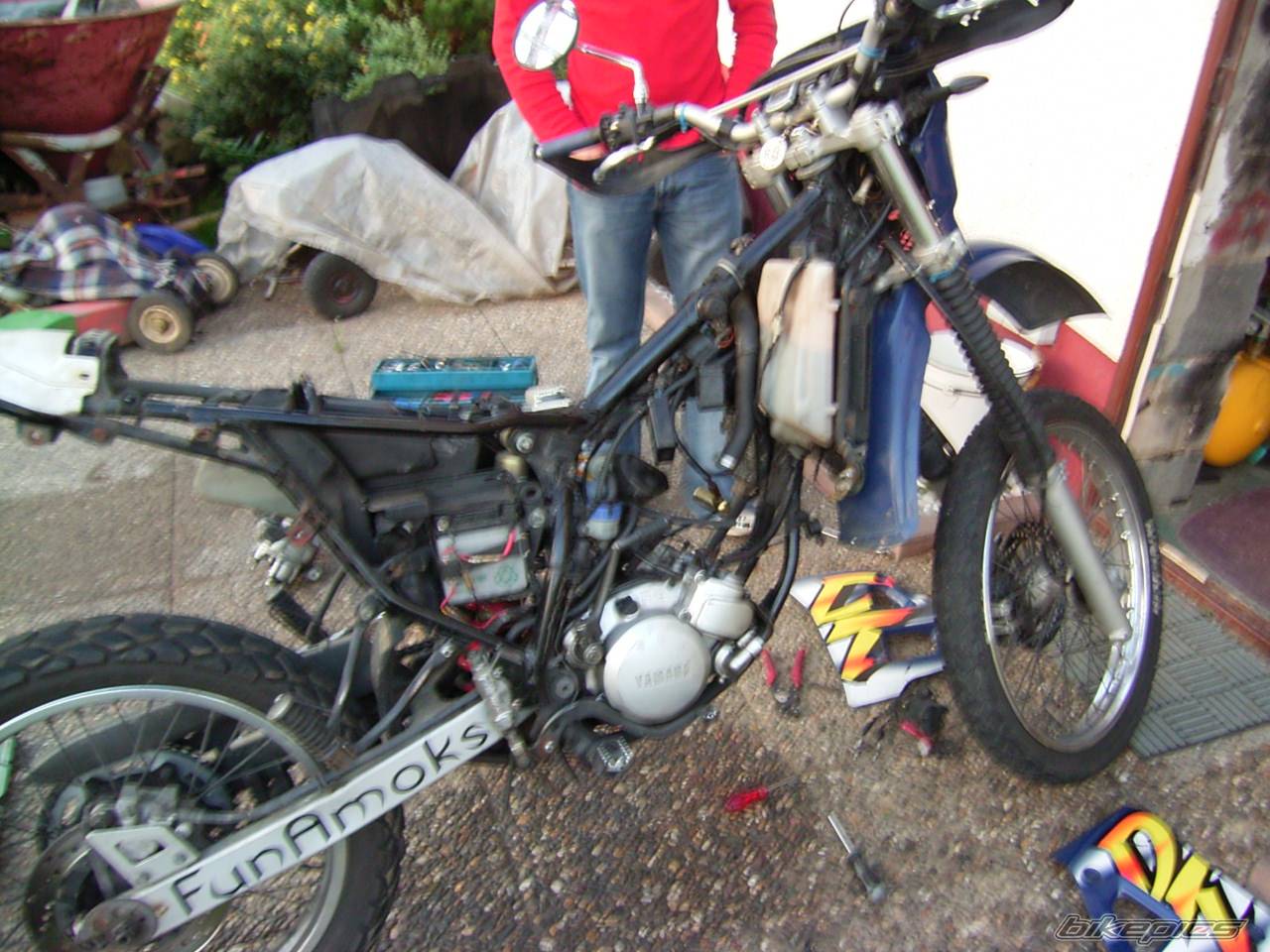 Photo 205825