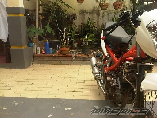 Photo 2058448