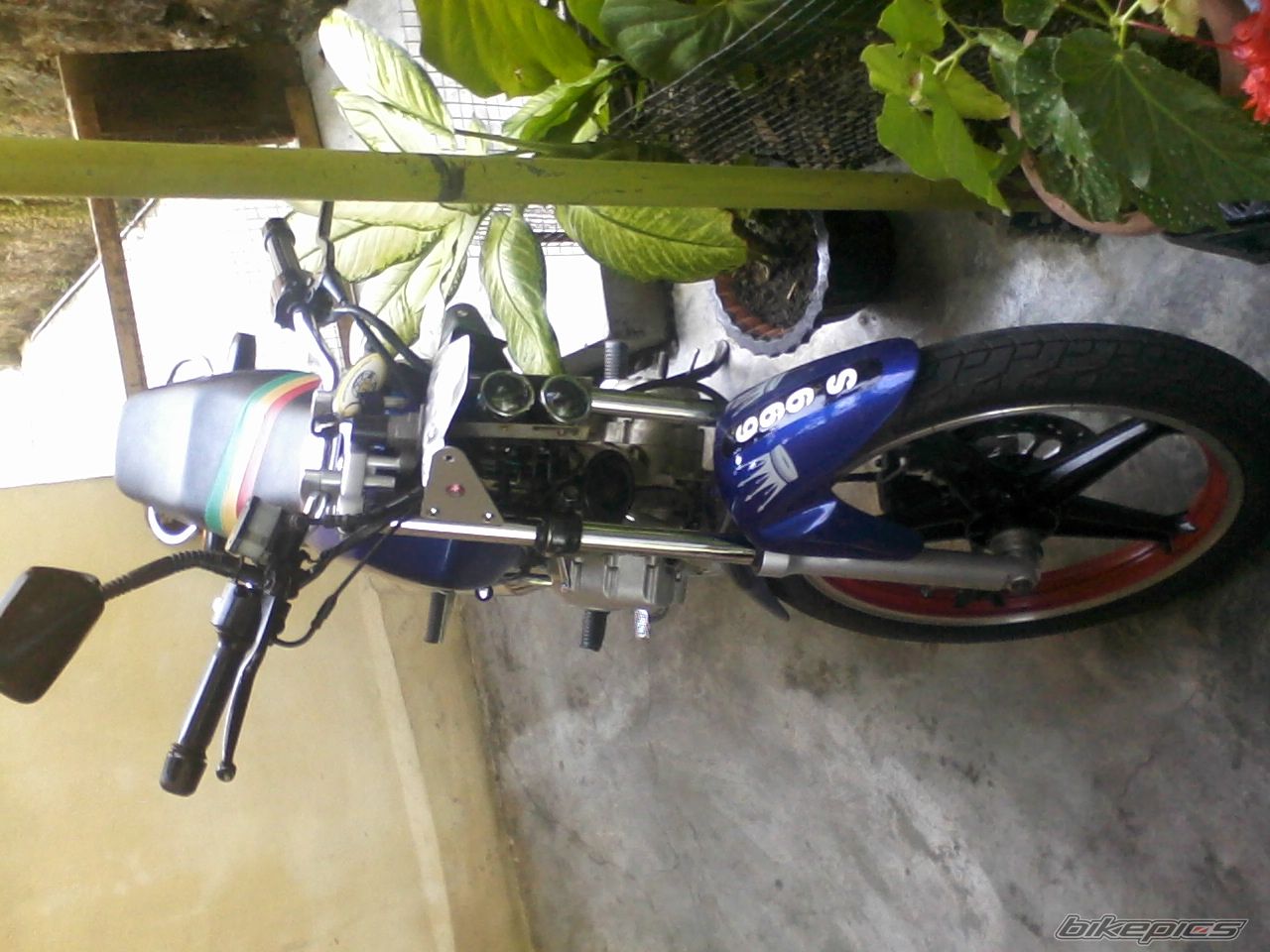 Photo 2058648