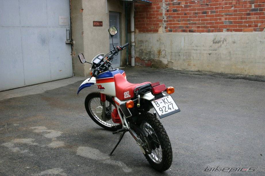 Photo 205886