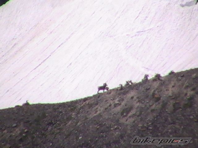 Photo 2058938