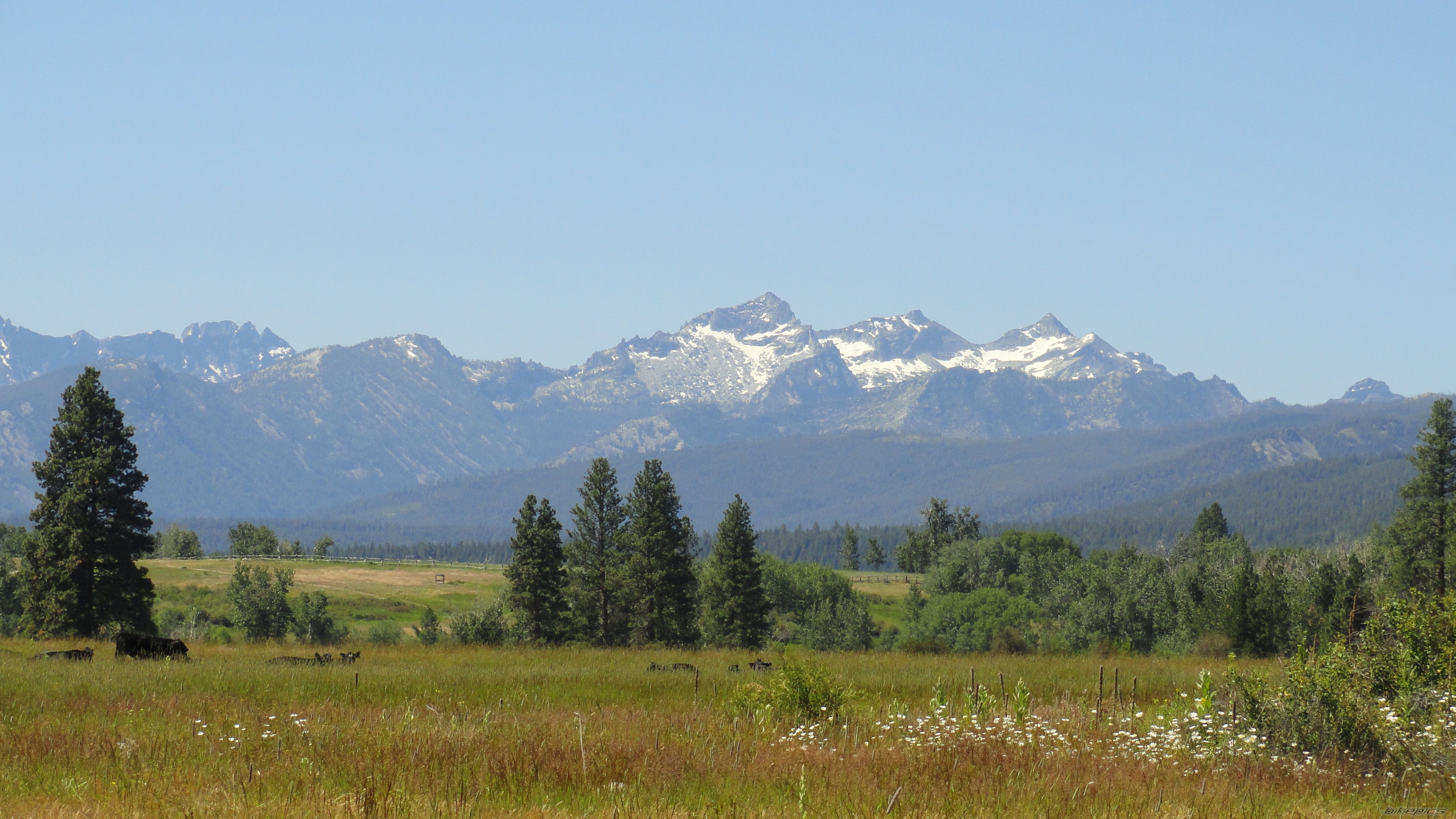 Photo 2058941