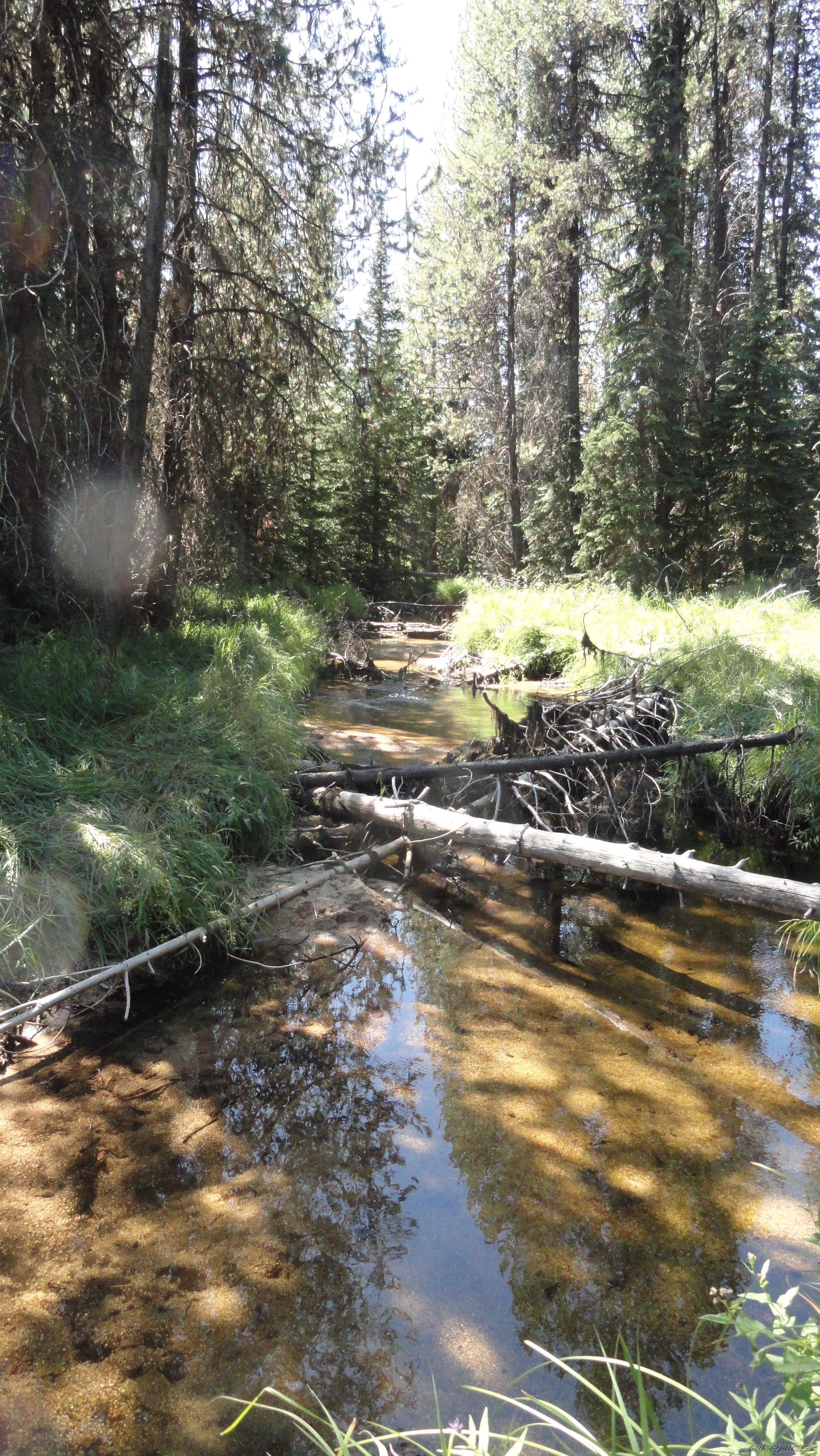 Photo 2058942