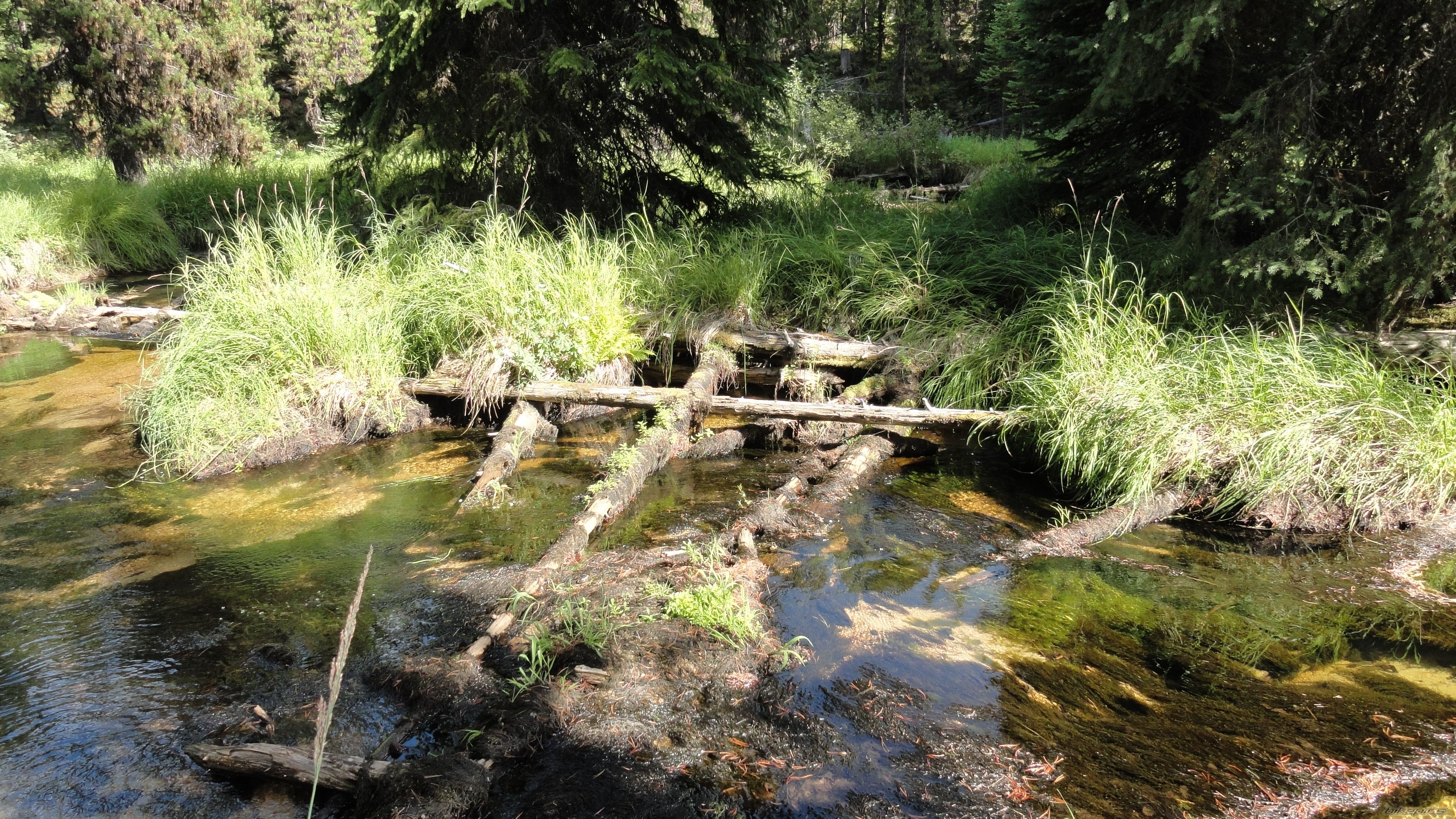 Photo 2058944
