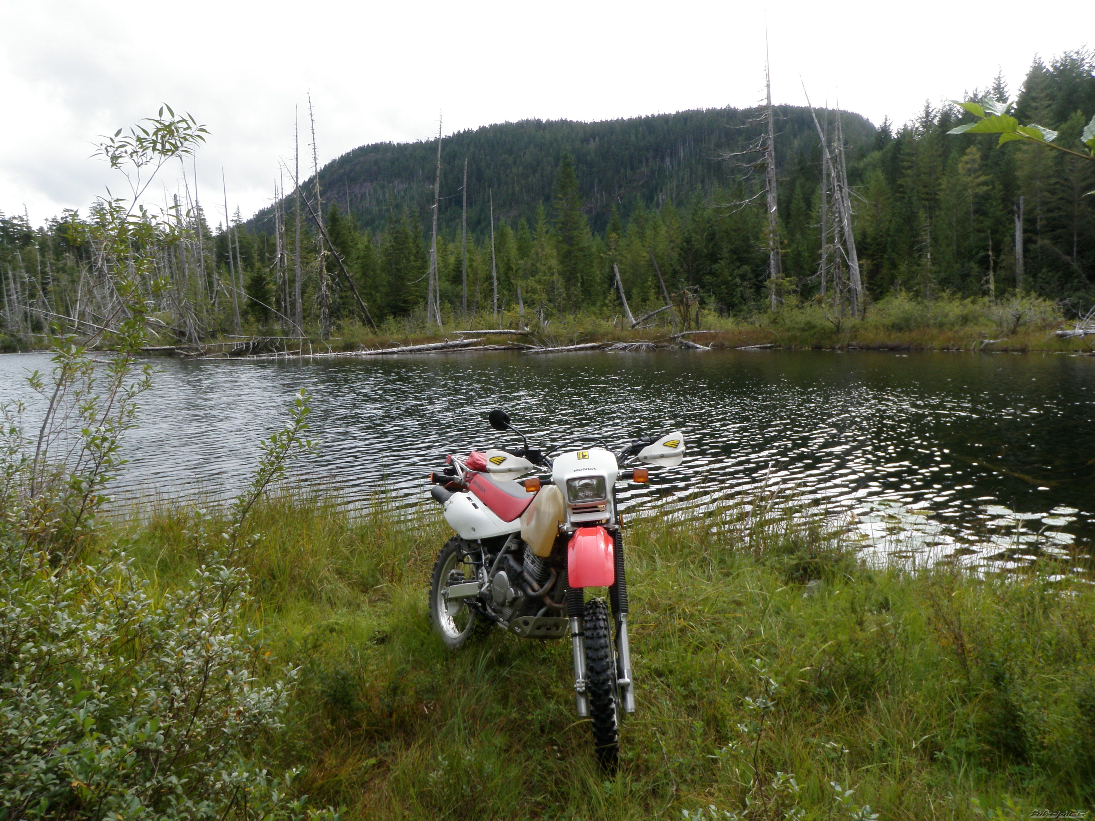 Photo 2058973