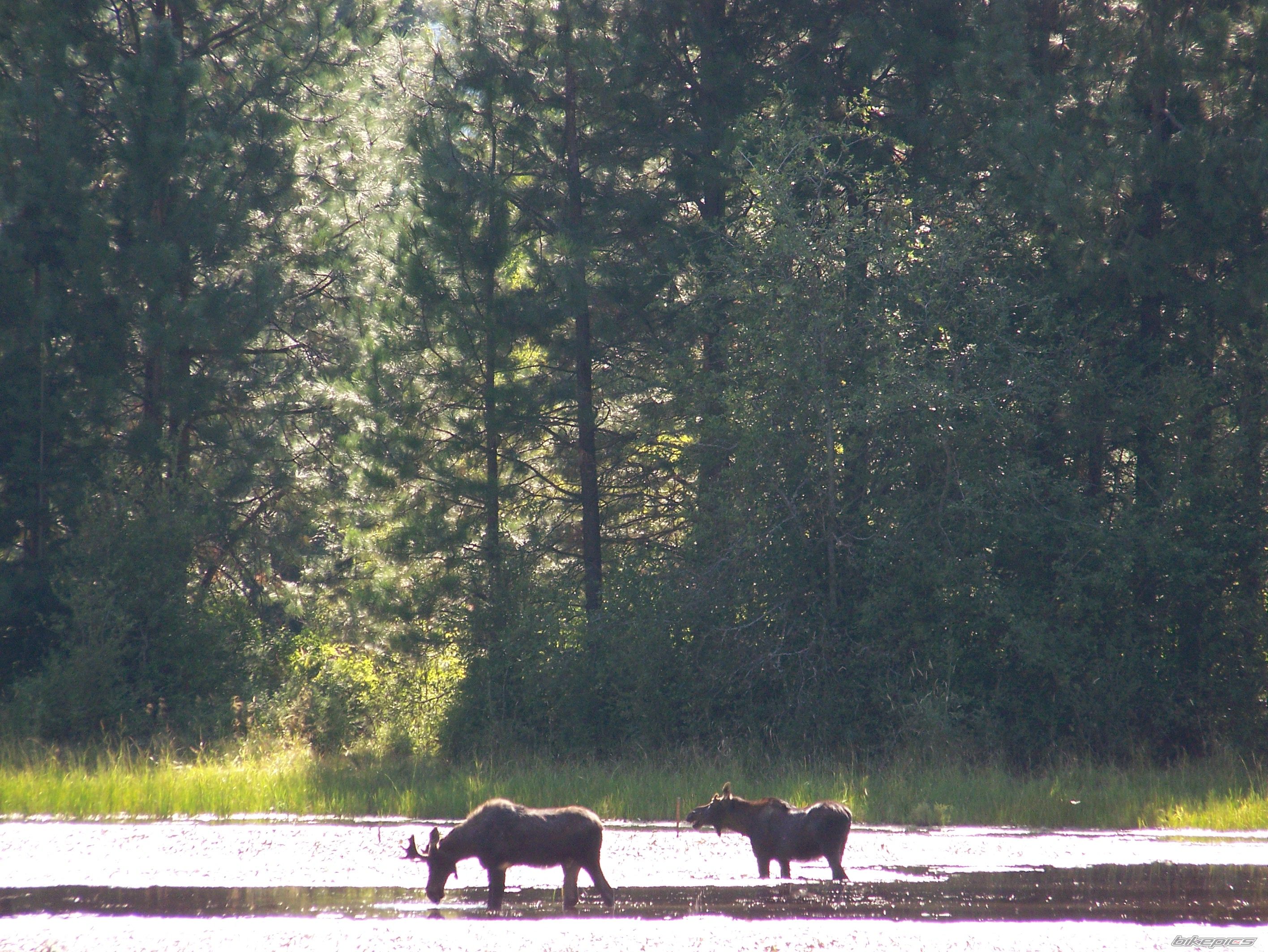 Photo 2058994