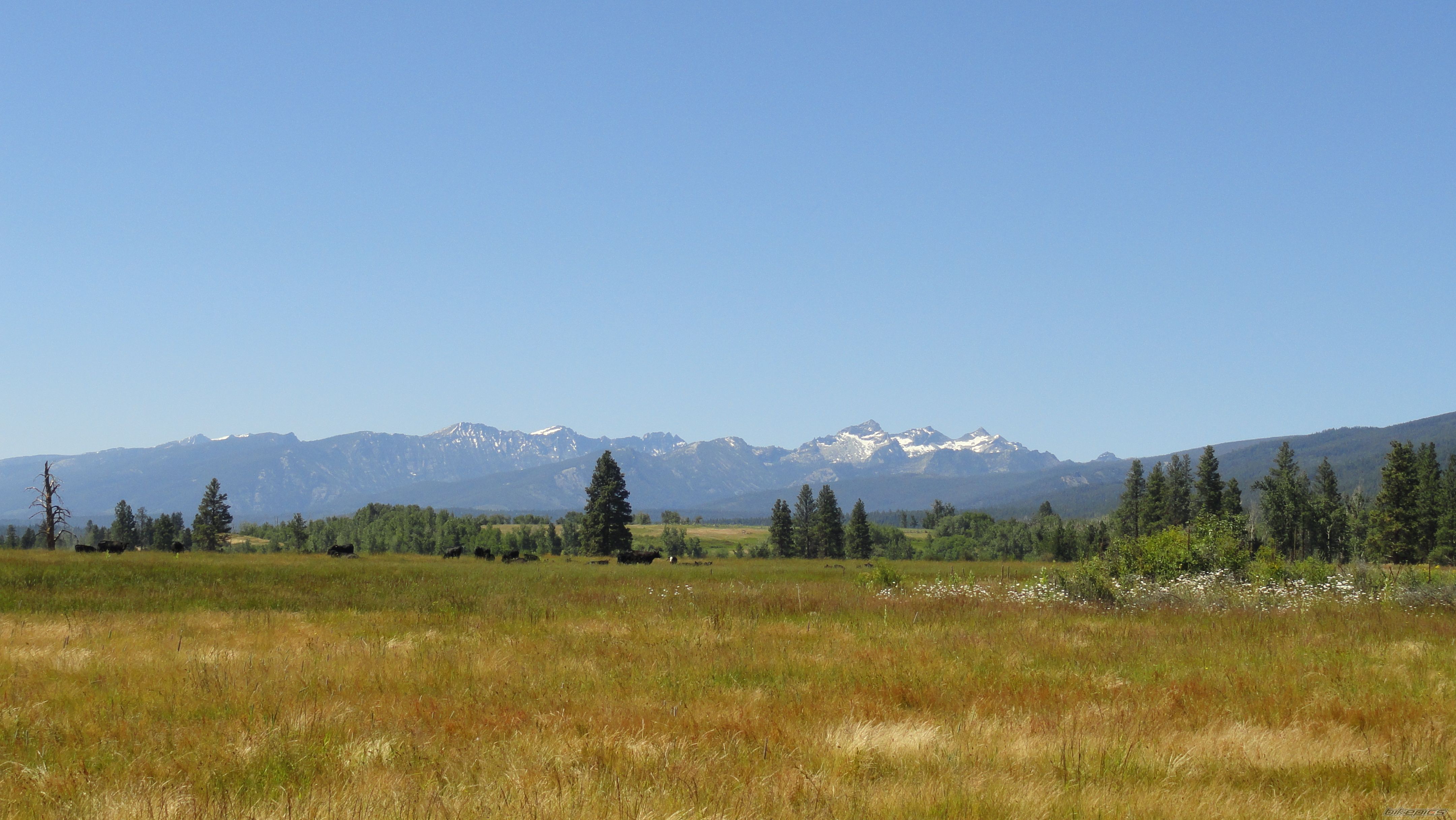 Photo 2058999