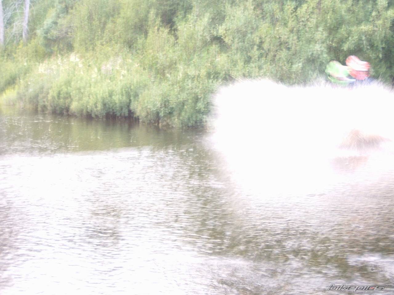 Photo 205909