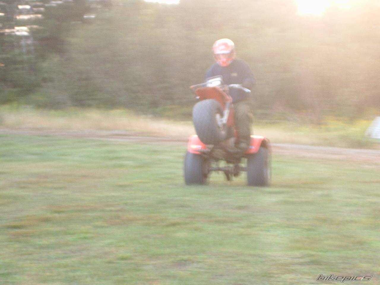 Photo 205910
