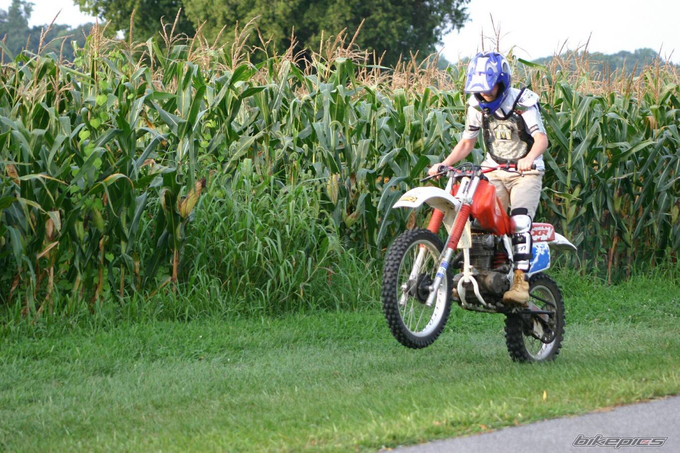Bike Photo 205911