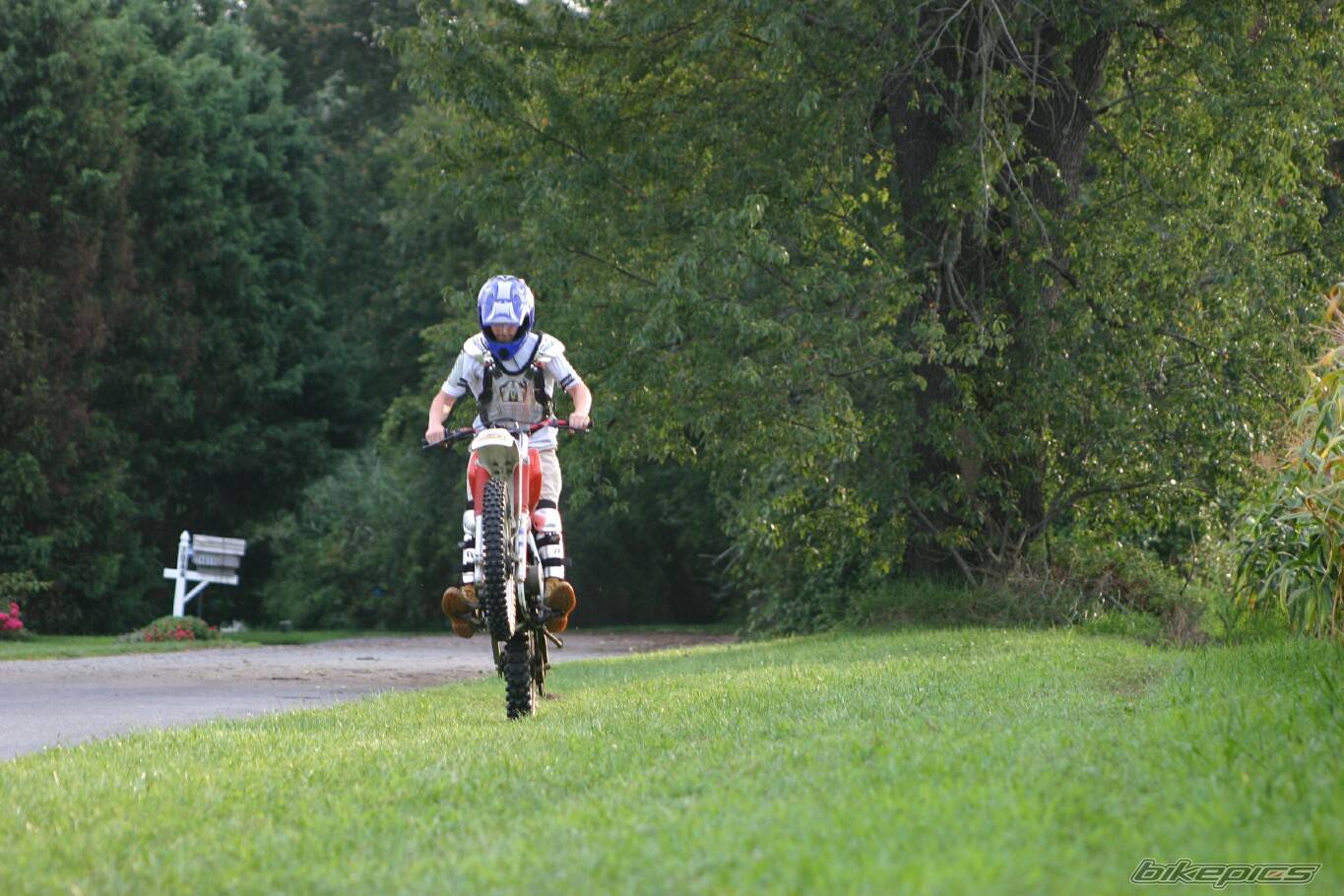 Photo 205919