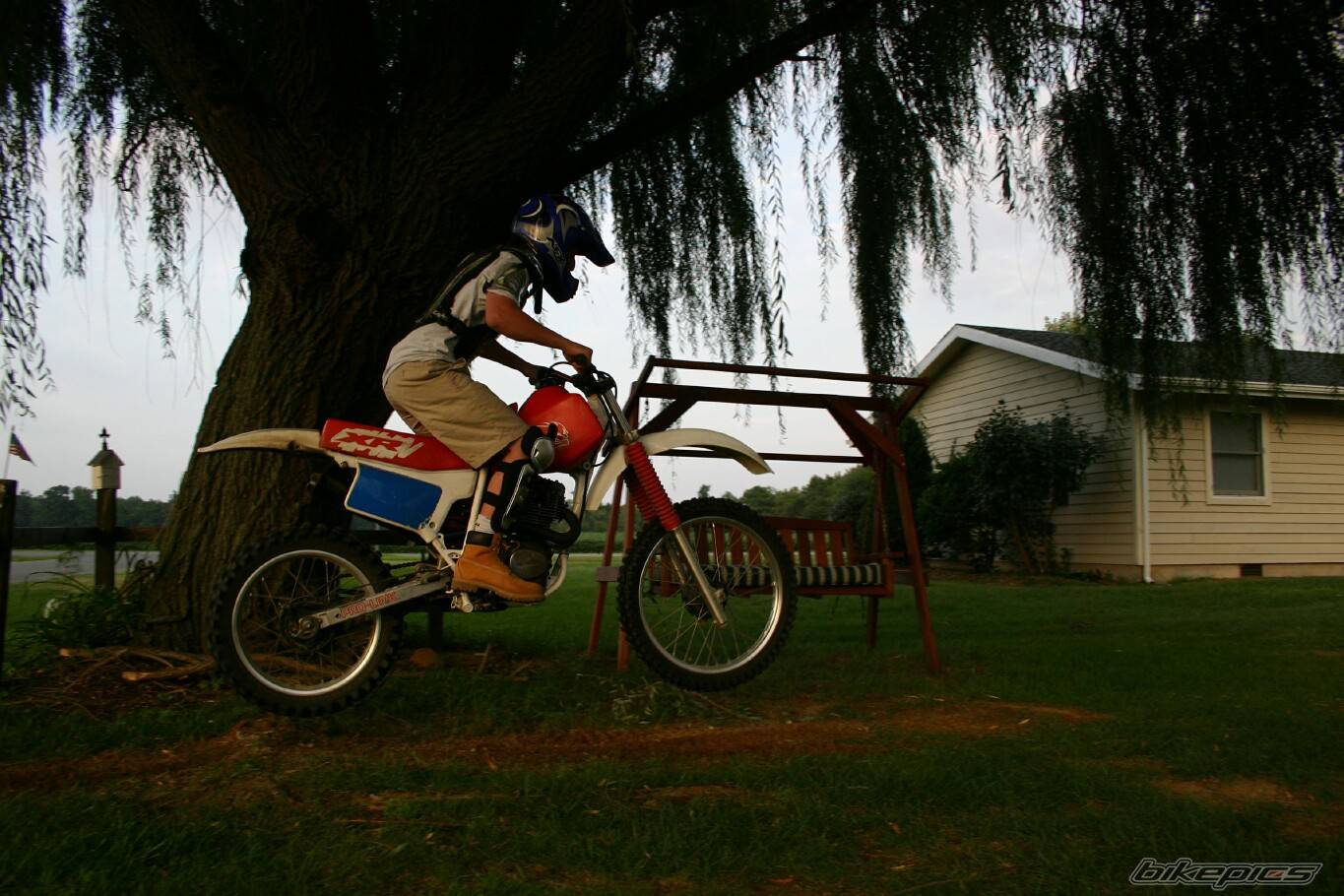 Photo 205923