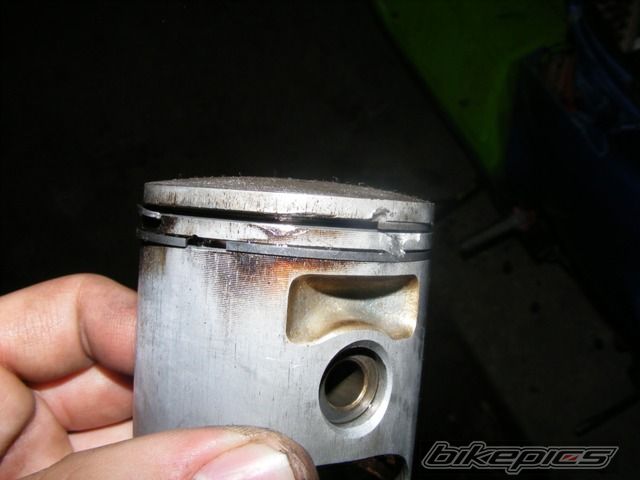 Photo 2059242