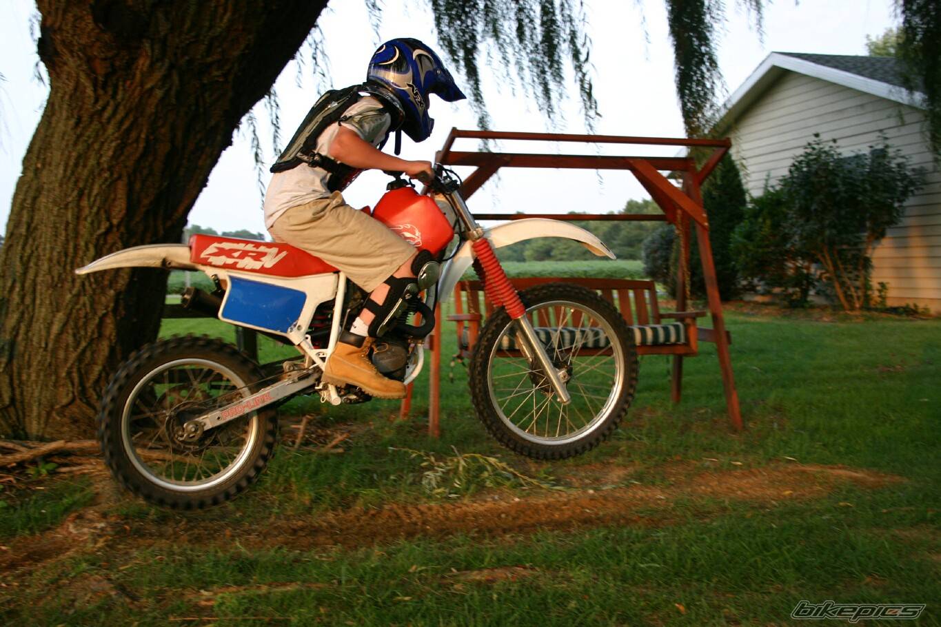Photo 205925