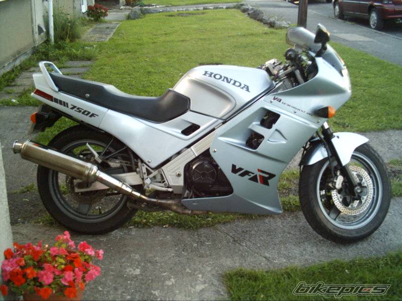 Photo 205926