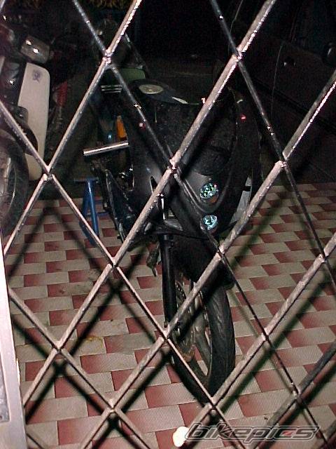 Photo 205932