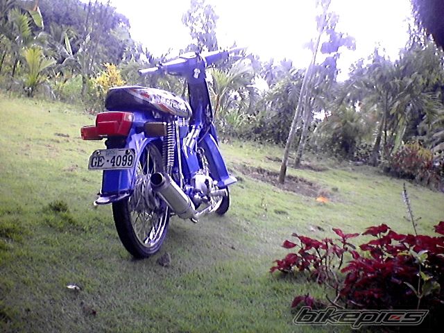 Photo 2059490