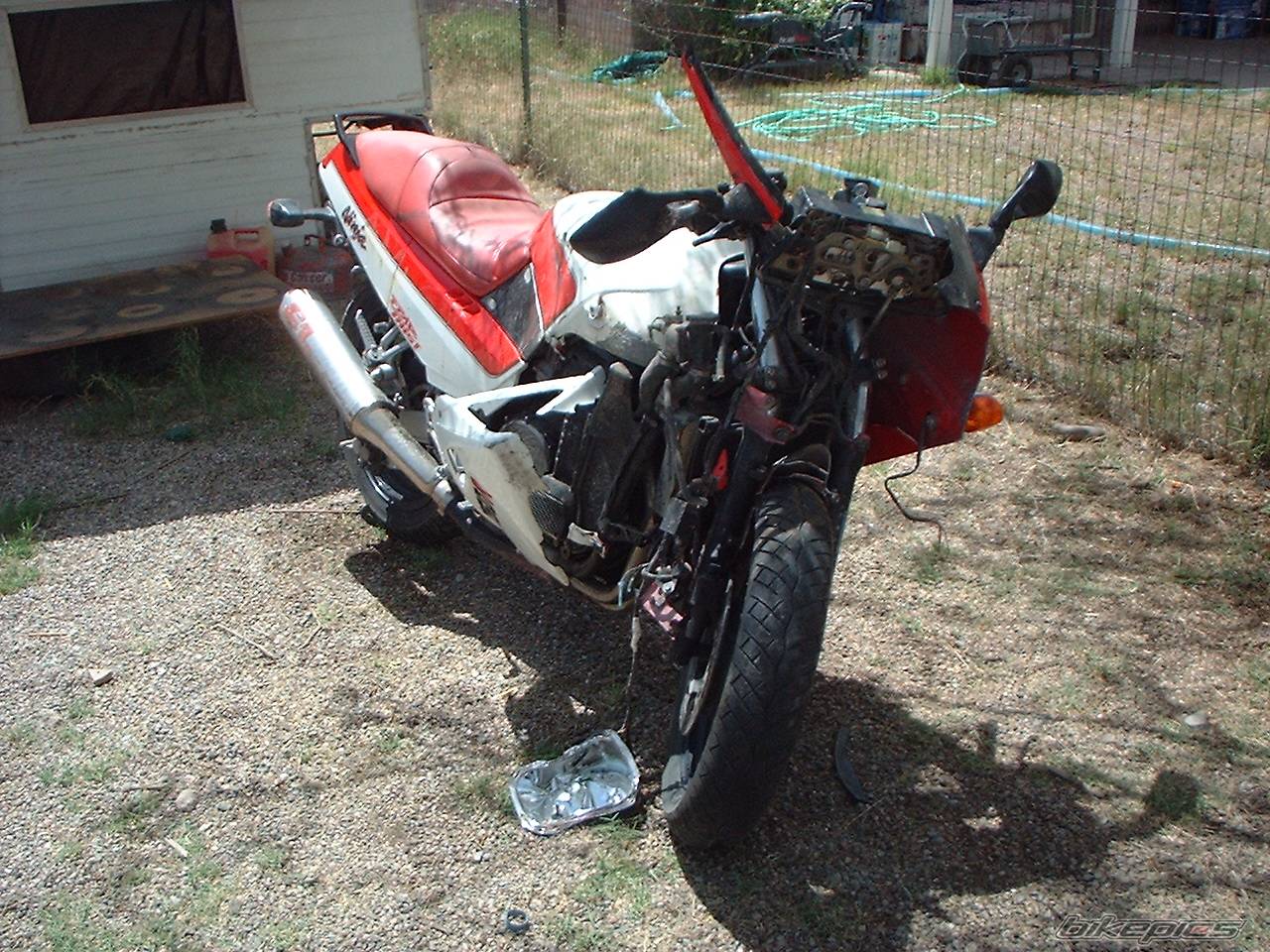Photo 205968