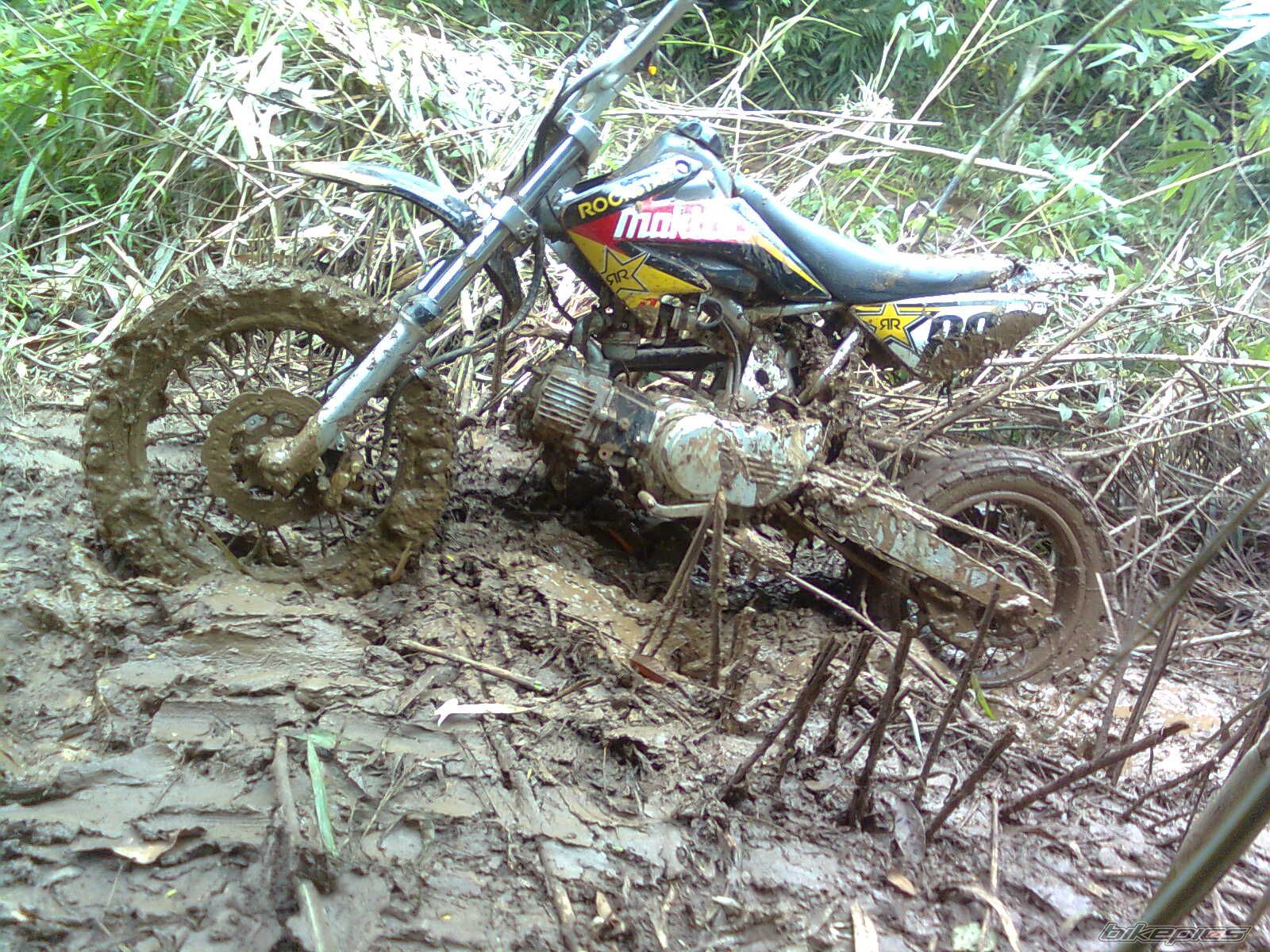 Photo 2059690