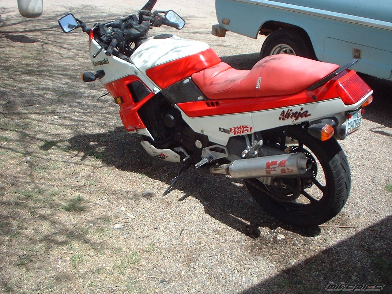 Photo 205970