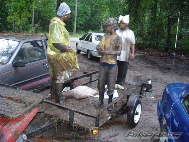 Photo 205984