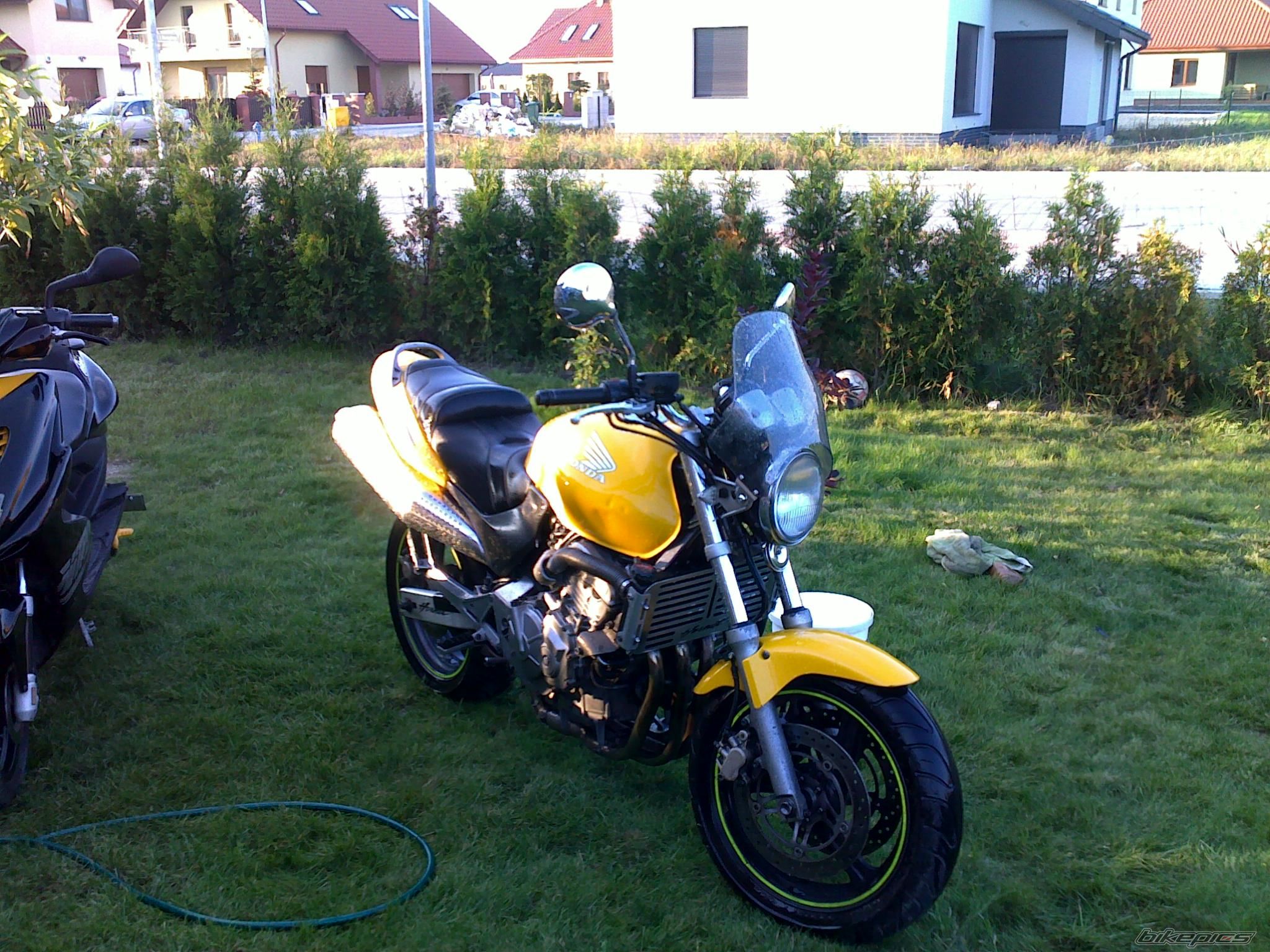 Photo 2060038