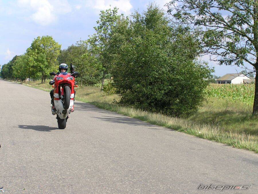 Bike Photo 206017