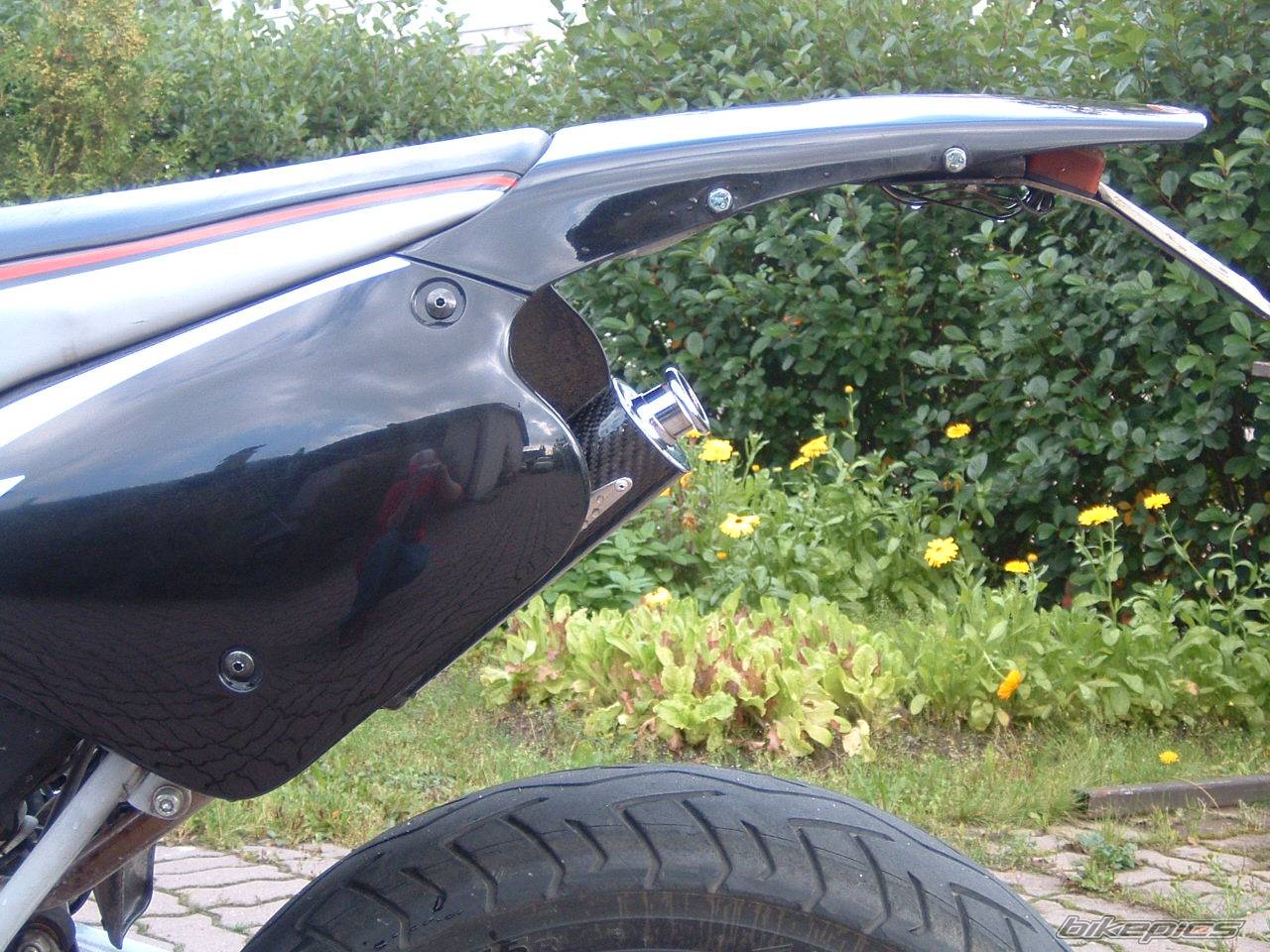 Photo 206023