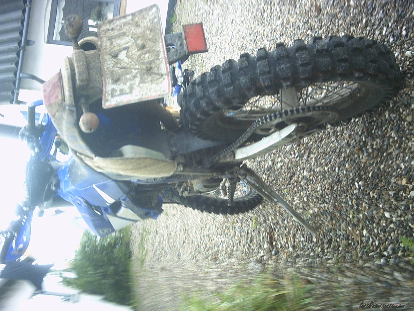 Photo 206033