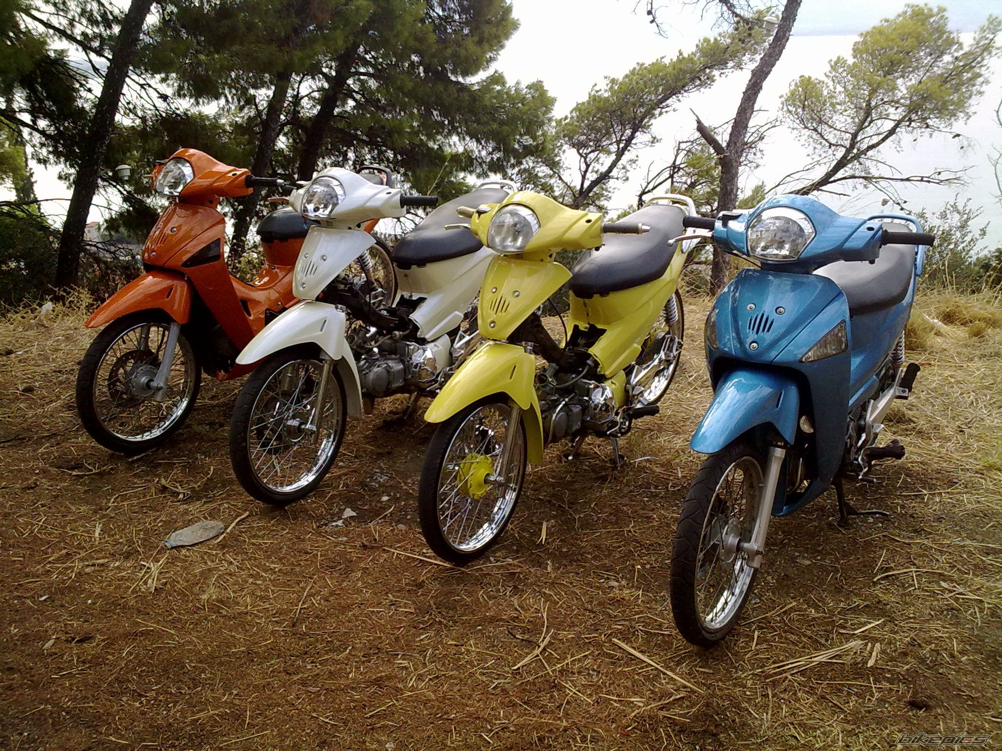 Photo 2060441