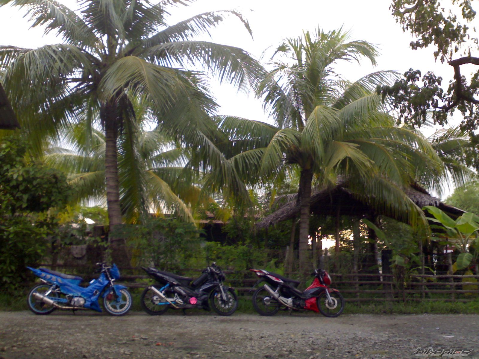 Photo 2060463
